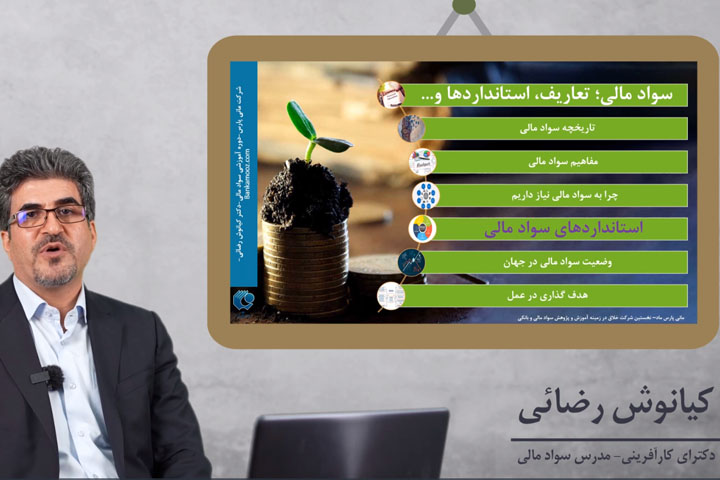 استاندارد های سواد مالی